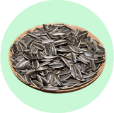 Sēklas