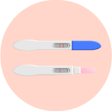 Grūtniecības un ovulācijas testi