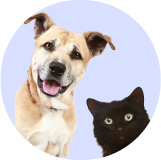🐶 Produkti mājdzīvniekiem